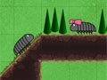 Pillbug Run