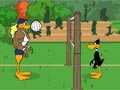 Tricky Duck Voleyball