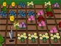 Blooming Garden