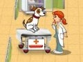 Dr. Daisy Pet Vet