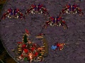 Starcraft Flash V Action