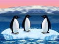 Turbocharged penguins
