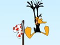 Daffy