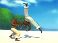 Capoeira Fighter 1