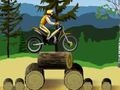 Stunt Dirt Bike 